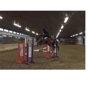 Meet your Posher, Madison